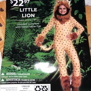 Lion costume